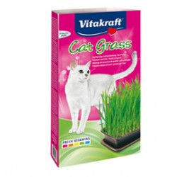 Cat-Gras - Pregiata miscela di semi per gatti