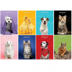 Maxiquaderno A4 20fg+1 80gr 1 rigo c/margine Pet Color 2022 Blasetti