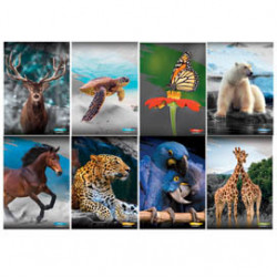 Maxiquaderno A4 20fg+1 80gr 1 rigo c/margine Animal 2022 Blasetti