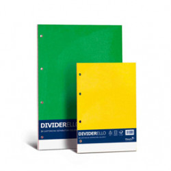 10 separatori in cartoncino colorato 220gr 16x21cm DIVIDERELLO FAVINI