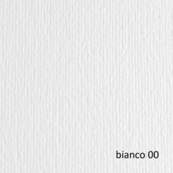 BLISTER 10FG CARTONCINO 70X100 220GR BIANCO 100 FABRIANO ELLE ERRE