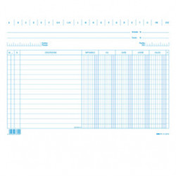 100 SCHEDE DARE/AVERE/SALDO/IVA 17X24CM ORIZZ. E3379